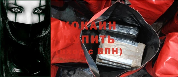 стаф Арсеньев