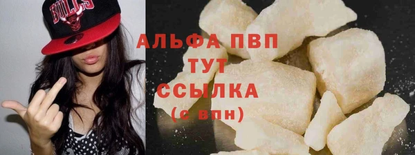 стаф Арсеньев