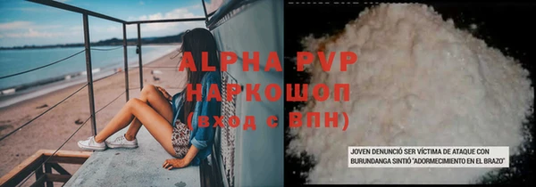 стаф Арсеньев