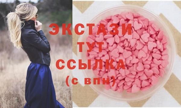 стаф Арсеньев