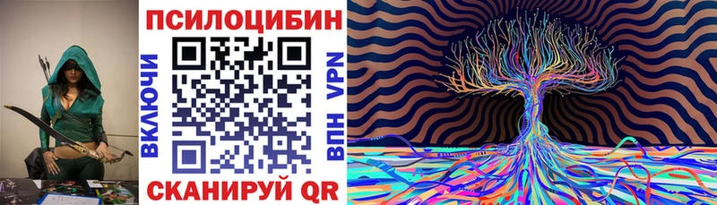 мега ссылка  Навашино  Галлюциногенные грибы мухоморы  цена наркотик 